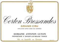 photo Corton Grand Cru 