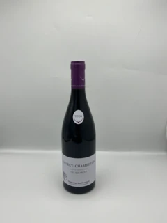 photo Gevrey Chambertin 