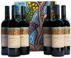 photo du vin Château l’Hospitalet Art Collection 2020 le Vin de Nos Paysages Robert Combas