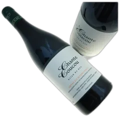 photos du vin Côtes du Marmandais Clos Baquey Elian da Ros