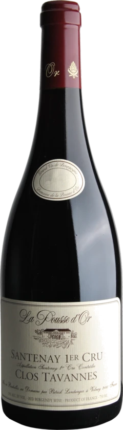 photo 2020 Santenay 1er Cru Clos Tavannes Domaine de la Pousse d’or