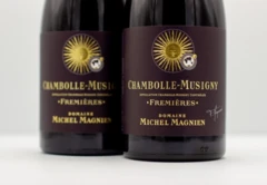 photo Michel Magnien Chambolle-Musigny les Frémières 2019