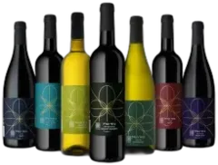 photo Recanati Chardonnay 2023