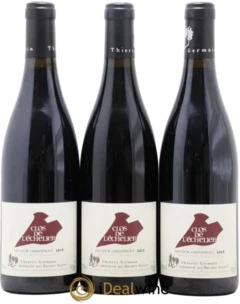 photo Saumur-Champigny Clos de L&Apos;Echelier Domaine des Roches Neuves Thierry Germain 2015