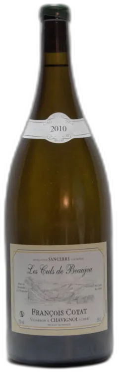vue du vin Francois Cotat, Sancerre les Culs de Beaujeu