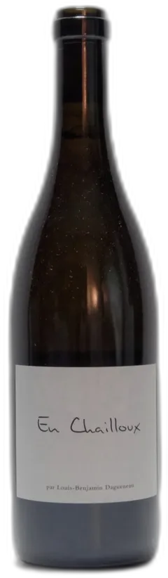 vue du vin Louis-Benjamin Dagueneau, Sancerre en Chailloux