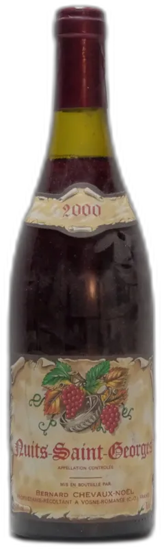 photo 2000 Bernard Chevaux-Noël, Nuits Saint Georges