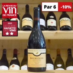 photo Bourgogne Côte d’or Domaine Alain Jeanniard 2022