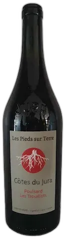 photo Valentin Morel, Poulsard 