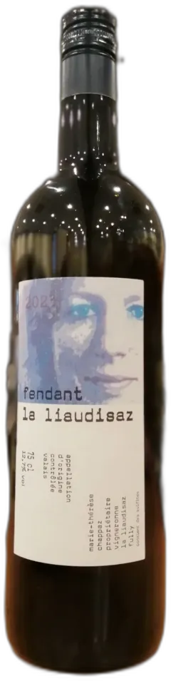 photo Chappaz mt Fendant la Liaudisaz 2023