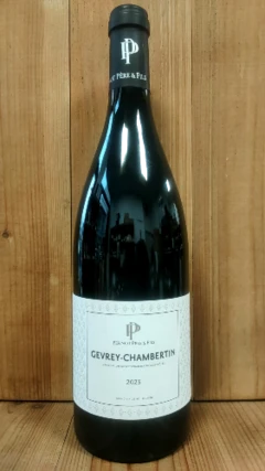 photo Gevrey-Chambertin 2023