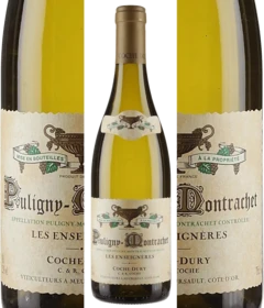 photo Puligny Montrachet les Enseignères 2022 Coche Dury 12 5