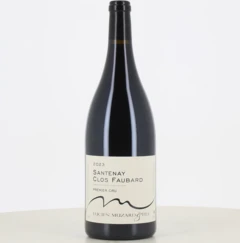 photo Magnum Rouge Santenay 1er Cru Clos Faubard Domaine Muzard 2023