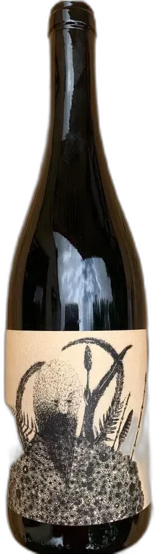 image du vin Chardonnay 2022