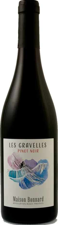 photo Pinot Noir les Gravelles