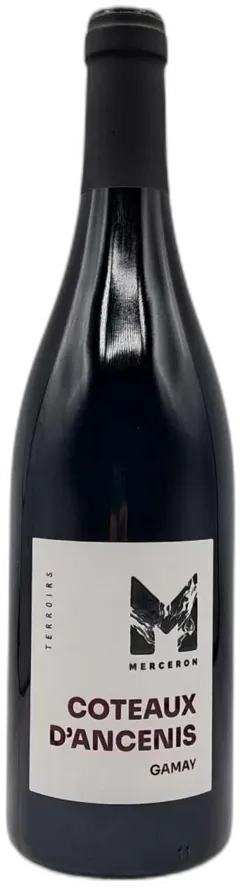 vue du vin Domaine Merceron Coteaux d'Ancenis Gamay - 75cl - le Monde de Syl'Vin