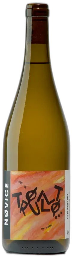 image du vin Trouillot, 2022 Novice