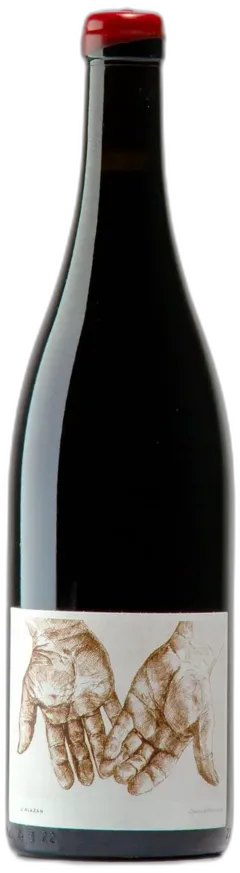 illustration du vin Résilience, 2022 Domaine de l'Alezan