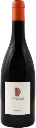 image du vin Bourgueil Domaine Mabileau les Racines