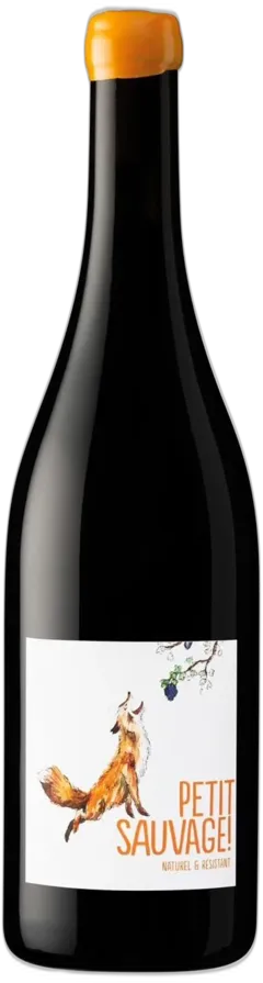 illustration du vin Petit Sauvage
