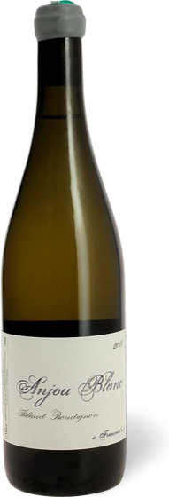photo Domaine Thibaud Boudignon