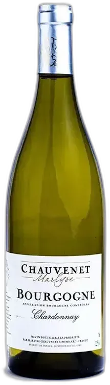 photo du vin Bourgogne Chardonnay 2022