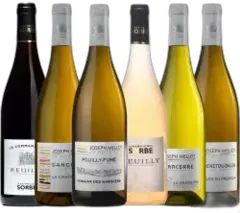 capture du vin Découverte