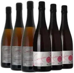 photo du vin Découverte Cerdon