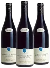 photo Découverte Domaine Girard Savigny les Beaune