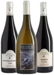 illustration du vin Découverte de la Loire