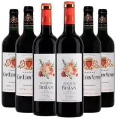 aperçu du vin Découverte Vignobles Meyre