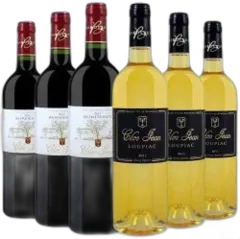photo du vin Découverte Vignobles Bord