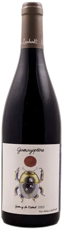 photo Antoine Lienhardt Coteaux Bourguignons 