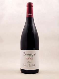 photo Antoine Lienhardt Bourgogne 2023