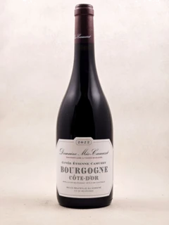 photo Méo Camuzet Bourgogne Côte d’or 