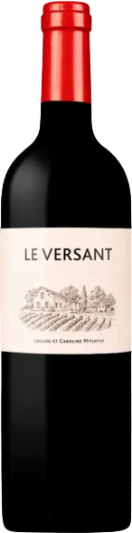 photo le Versant Castillon Côtes de Bordeaux Louis Mitjaville
