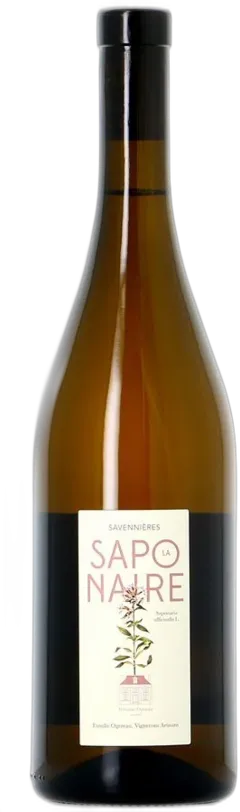 photo Ogereau Savennières la Saponaire 2023