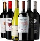 photo Pack Meilleures Ventes Argentine Chili
