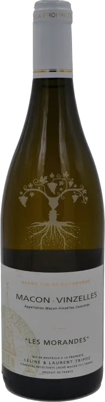 image du vin Macon Vinzelles les Morandes