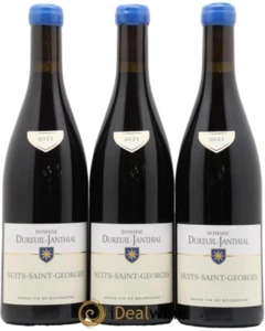 photo Nuits-Saint-Georges Vincent Dureuil-Janthial 2021