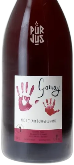 photo Gamay Côteaux Bourguignons 2023 Mélissa Bazin et Romain de Moor Magnum