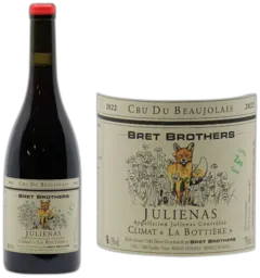 vue du vin Juliénas "la Bottière"