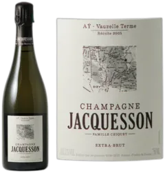 vue du vin Jacquesson ay Vauzelle Terme