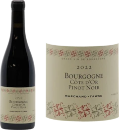 photo Bourgogne Côte d’or Pinot Noir