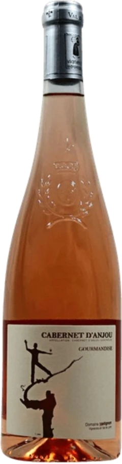 photo Cabernet d’Anjou Domaine Matignon 2023