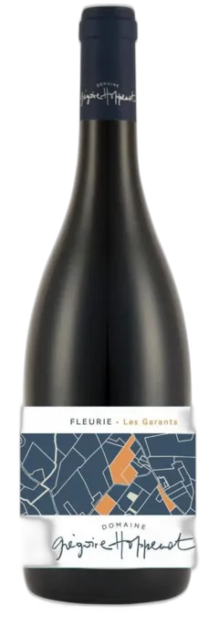 photo du vin Fleurie Clos de L&Apos;Amandier Grégoire Hoppenot