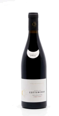 photo Cottenceau Maxime Bourgogne Pinot Noir 2022