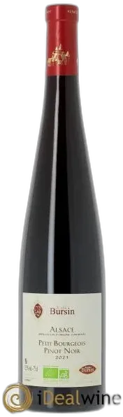 photo Alsace Pinot Noir Petit Bourgeois Agathe Bursin 2023