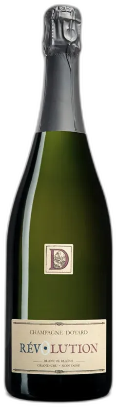 vue du vin Doyard Révolution nv