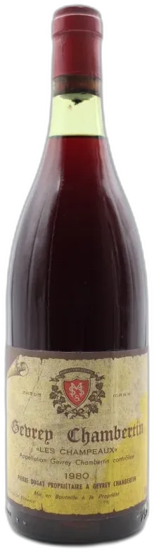 photo Gevrey-Chambertin 